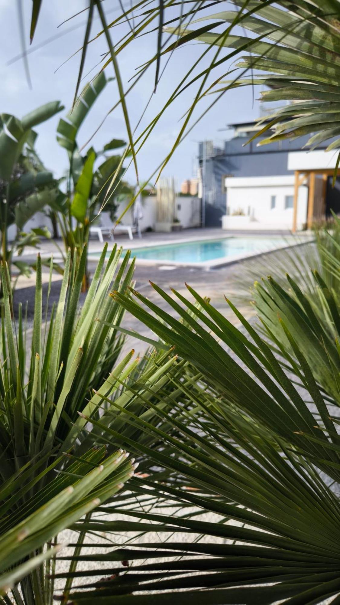 Vistamare Beach Garden Relax San Leone Eksteriør bilde